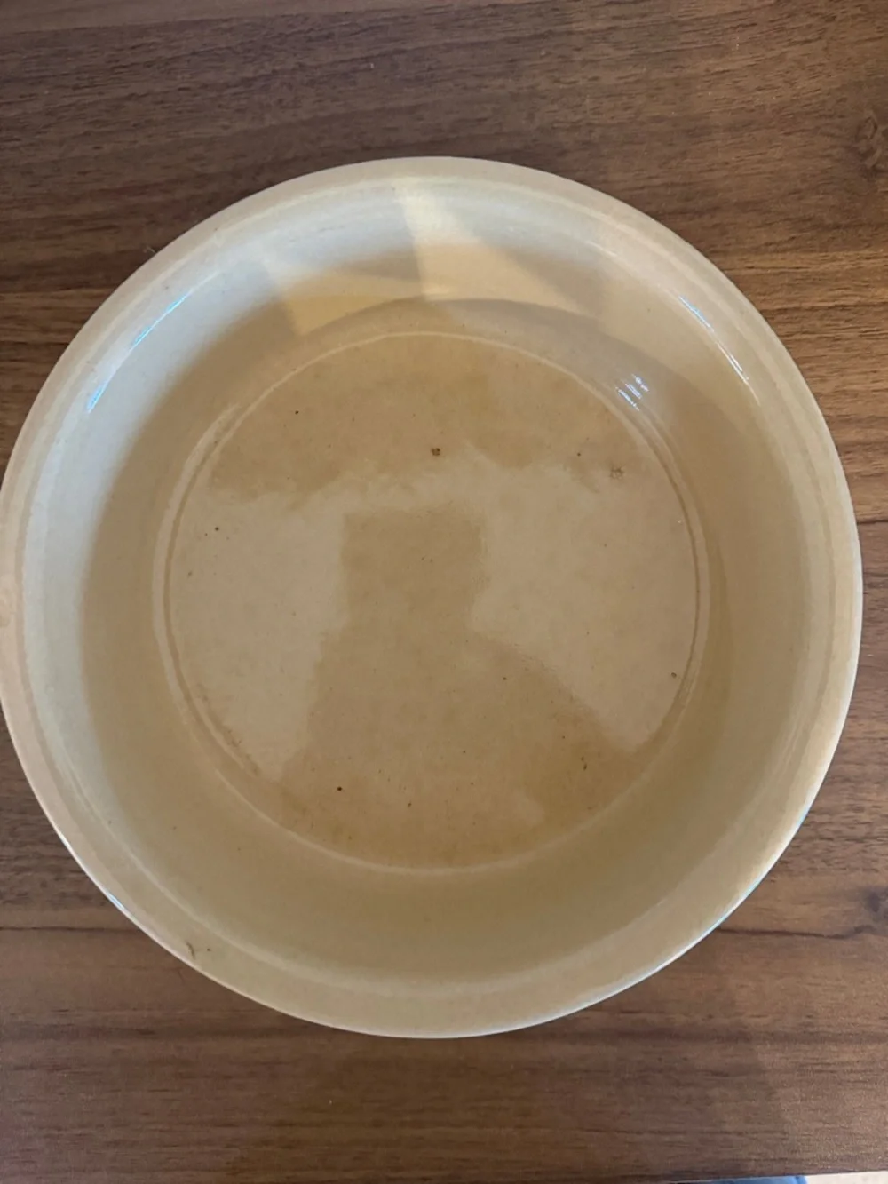 Vintage Roseville Pottery Dog Ceramic Food Bowl in Beige 7.5in